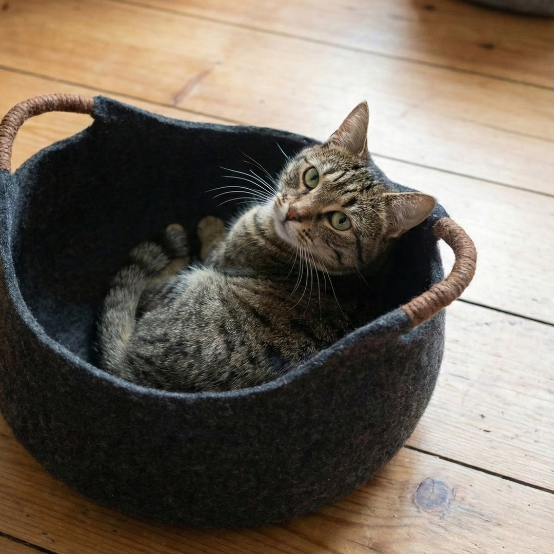 Basket Style Wool Felt Cat Bed