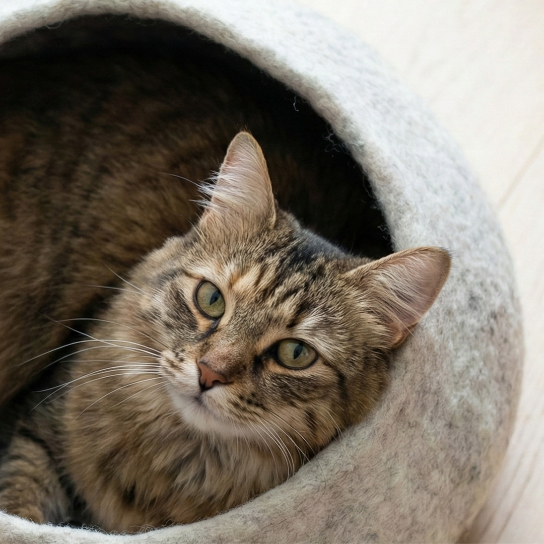 Marble Design Wool Felt Cat Cave