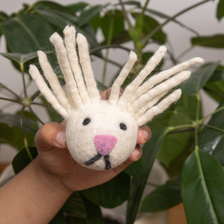 Floppy Friend with Flair